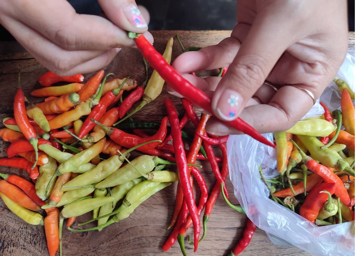 Harga Cabai Rawit Nasional Capai Rp59.650 per Kilogram - WartaRakyat.net